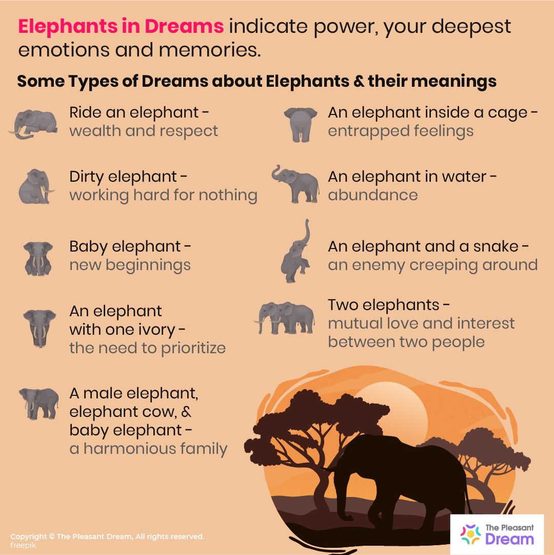 Meaning Of Elephant In Dreams