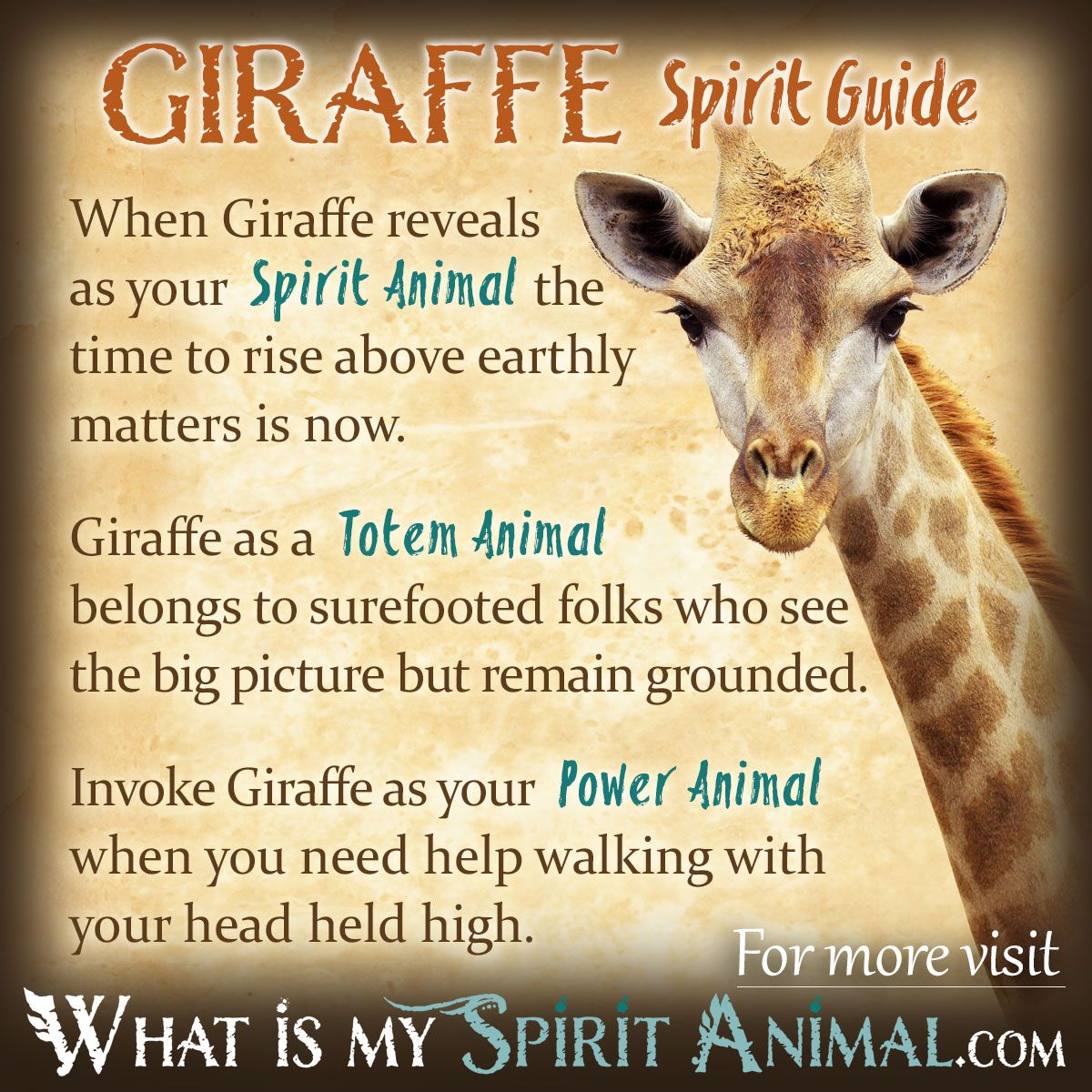 What Is The Meaning Of A Giraffe In Dreams?